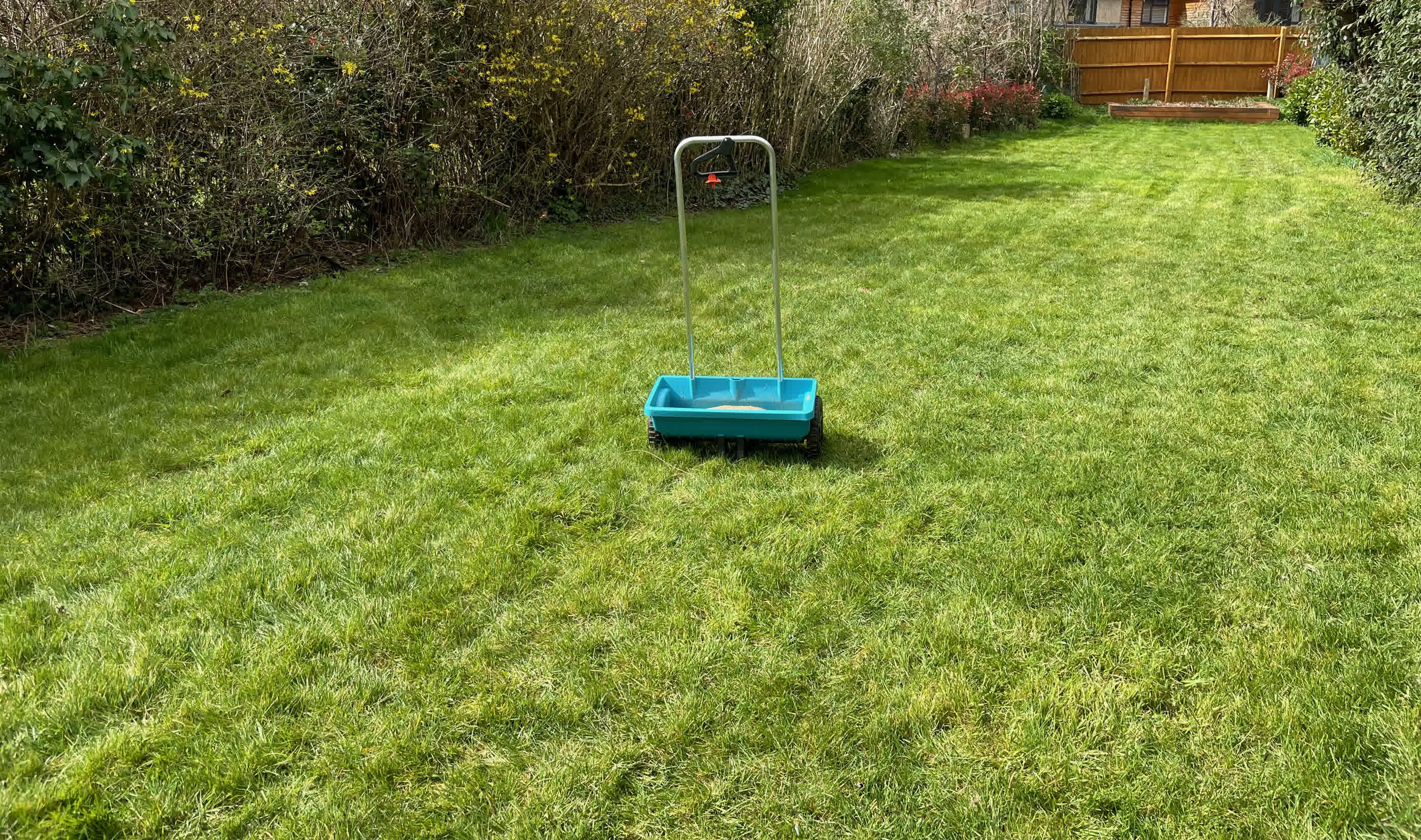 Lawn with drop spreader