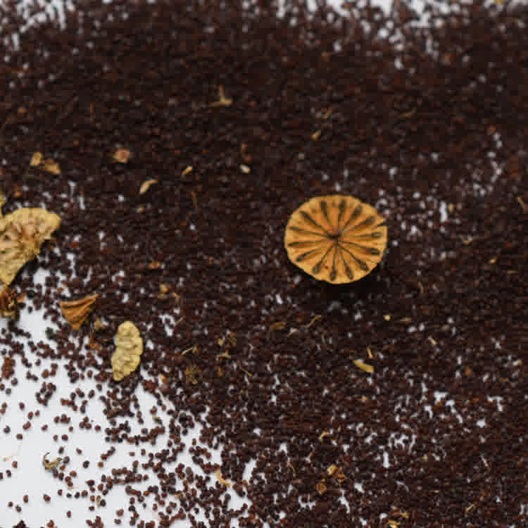 Hundreds of small poppy seeds on a paper towel with chaff.