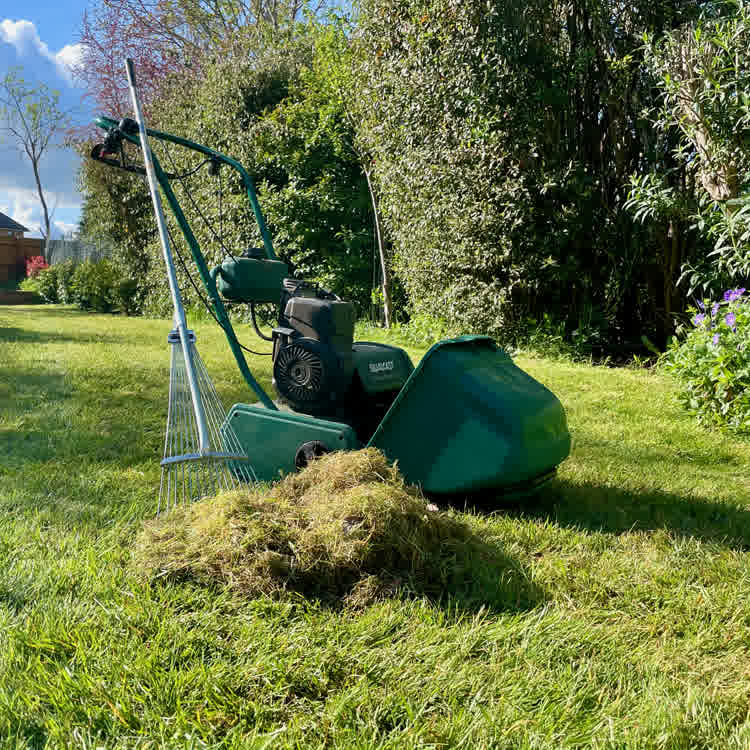 scarifier with thatch