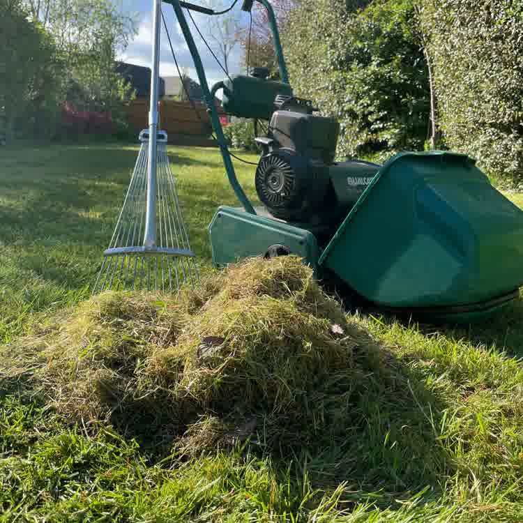 Loose thatch with scarifier